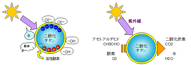 光触媒とは